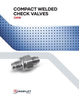 Compact Welded Check Valves